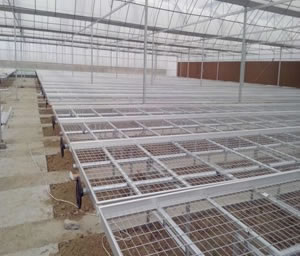 移動苗床 移動苗床